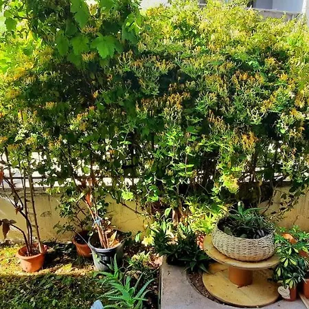 펜션 Yellow House Mamaia Nord *