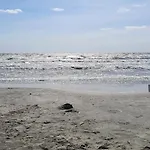 Yellow House Mamaia Nord *